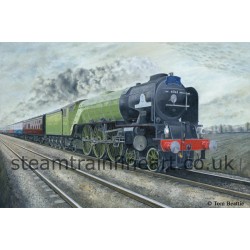 Signed Limited edition print 'Tornado' Morning glory.