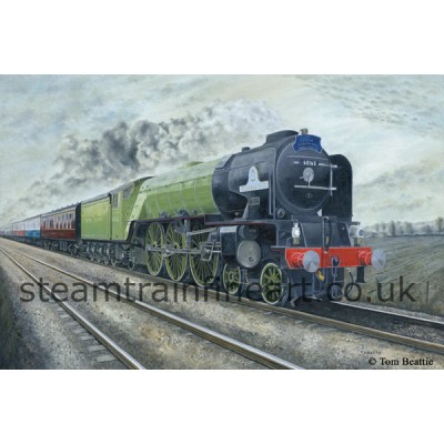 Signed Limited edition print 'Tornado' Morning glory.